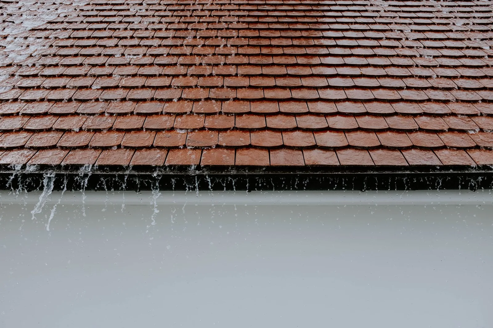 best gutter guards 2026