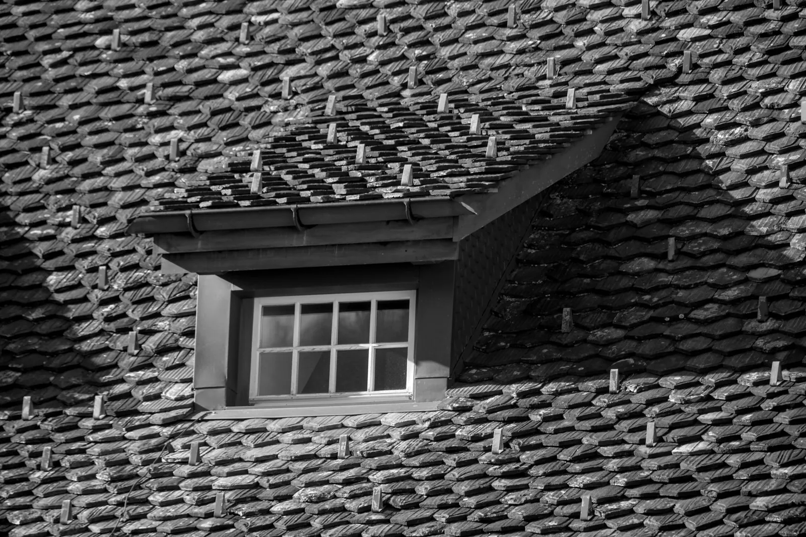roof shingles vs metal roof — a home with new architectural asphalt shingles