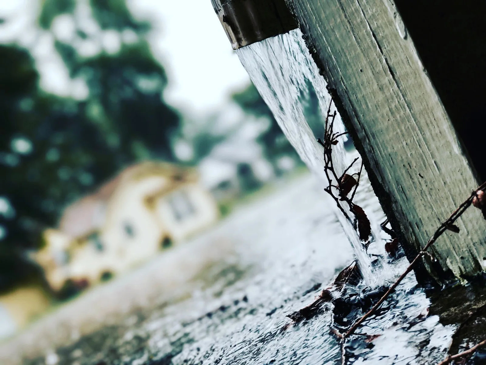 gutter guards worth it