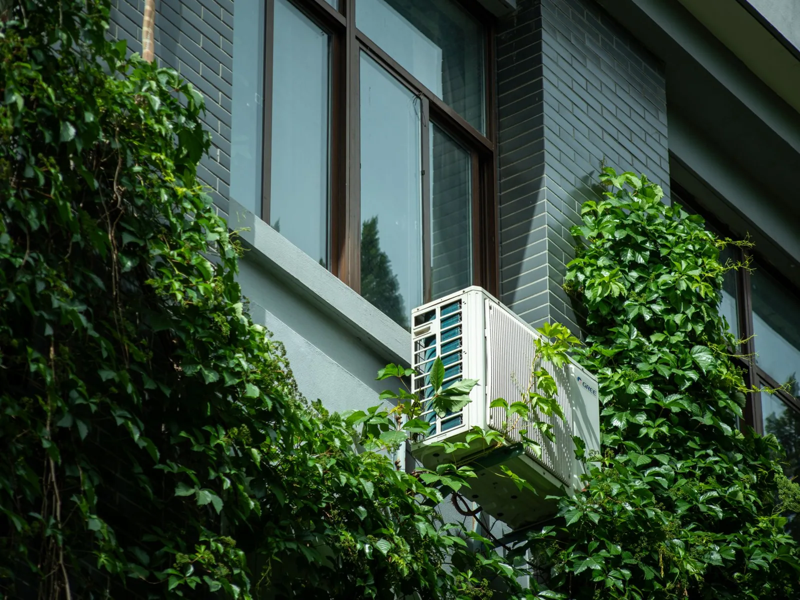 best windows for energy efficiency