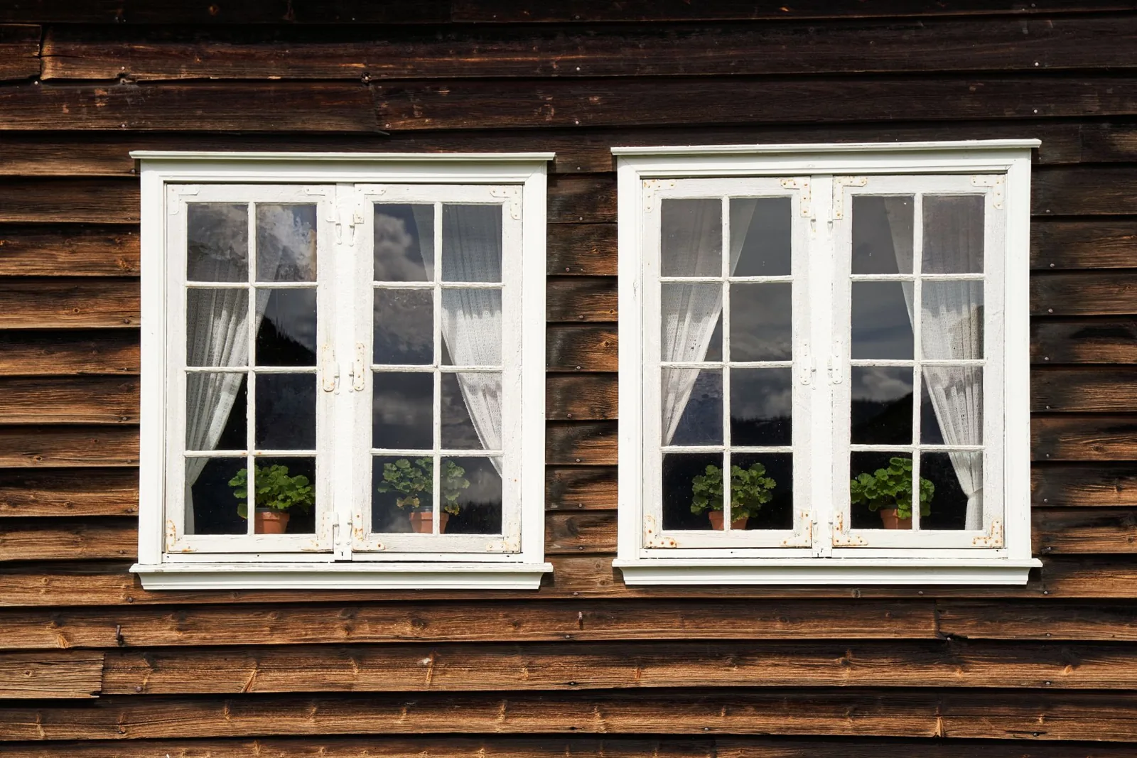 vinyl vs wood windows