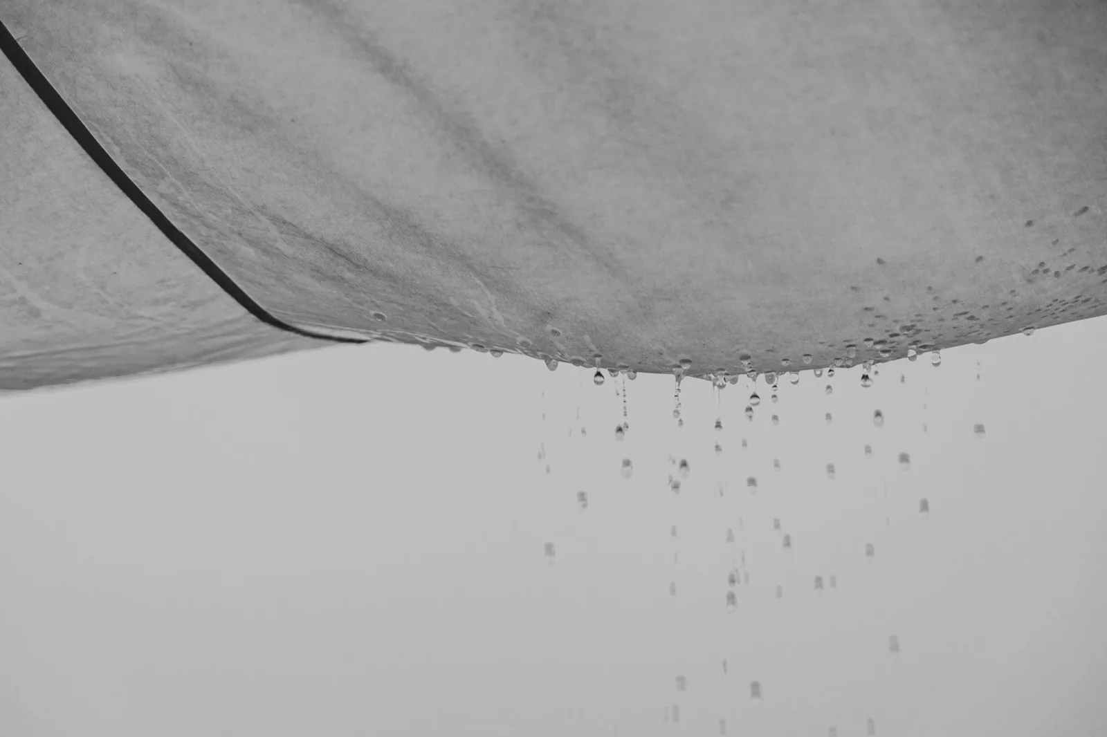roof leak repair cost - a roofer inspecting damaged shingles on a residential roof