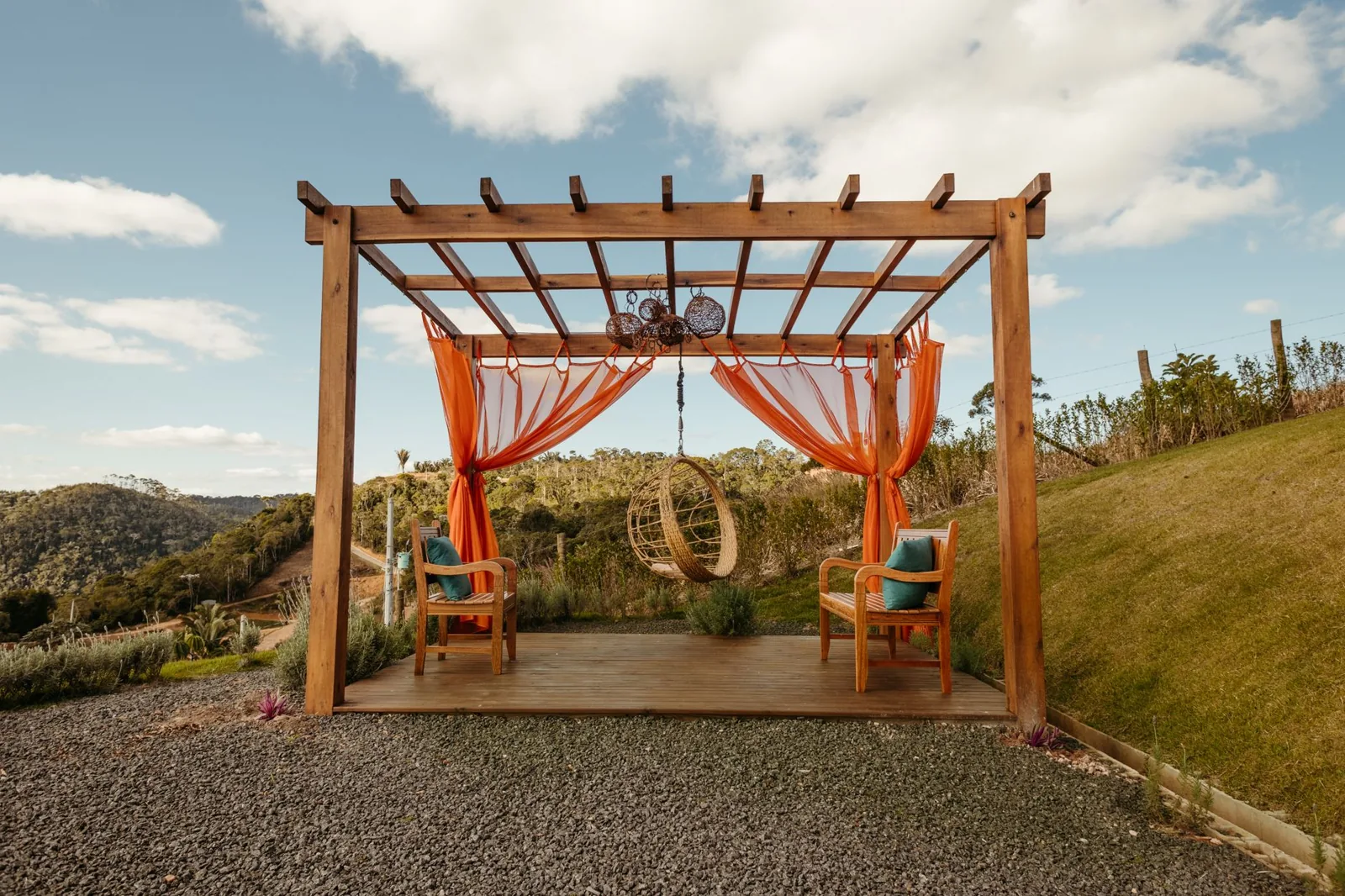 pergola with climbing plants over a backyard patio