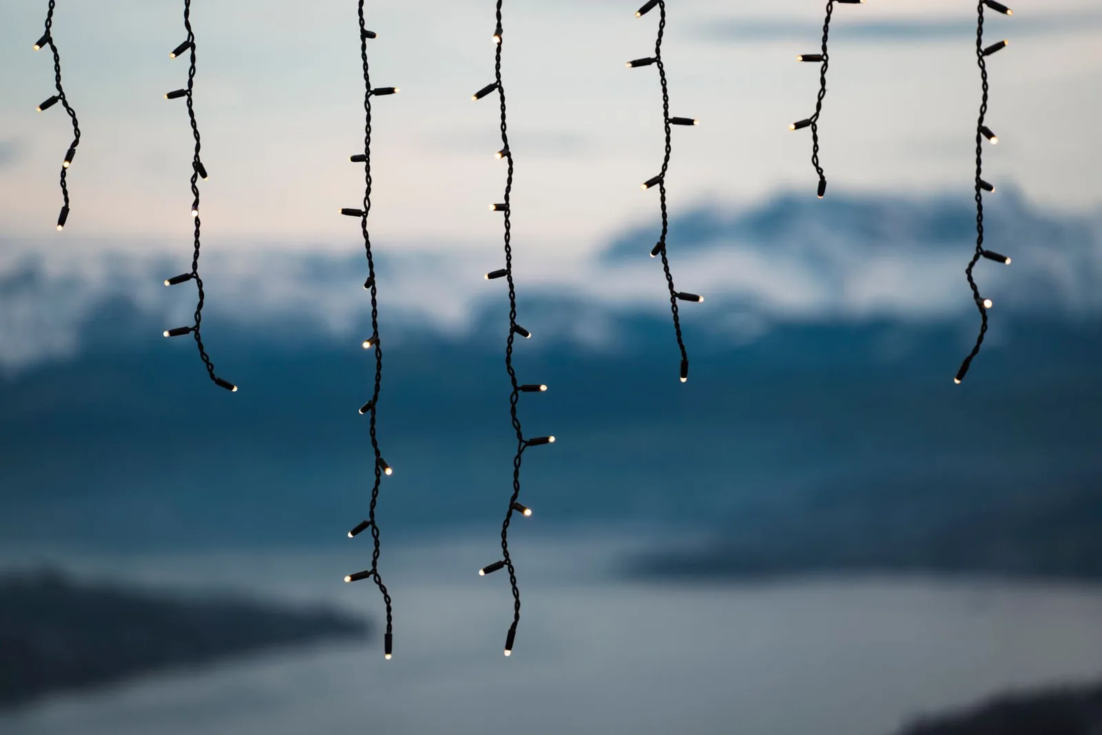 string lights hanging over a backyard pergola at dusk