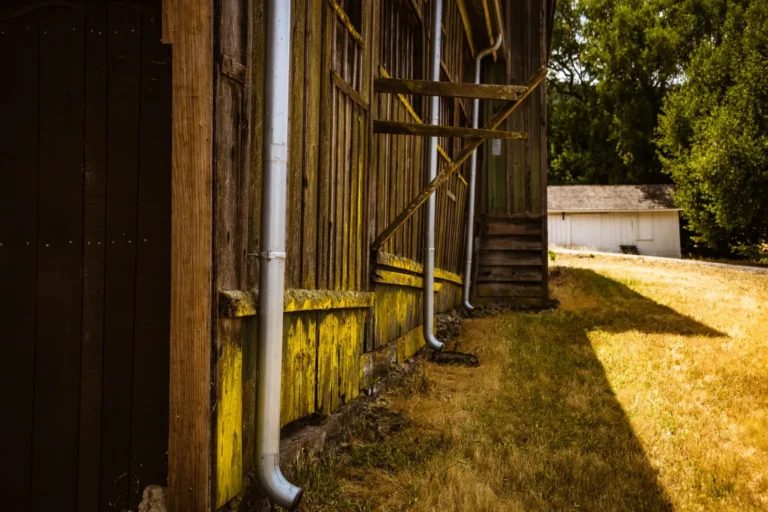 Best Gutter Guards 2026: Top-Rated Systems, Real Costs & What They Stop