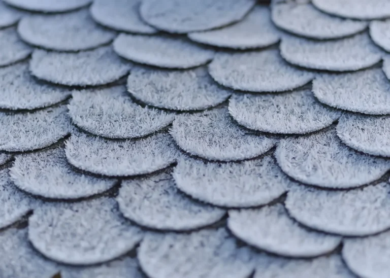 Roof Shingles vs Metal Roof: Cost, Lifespan, and Durability Compared