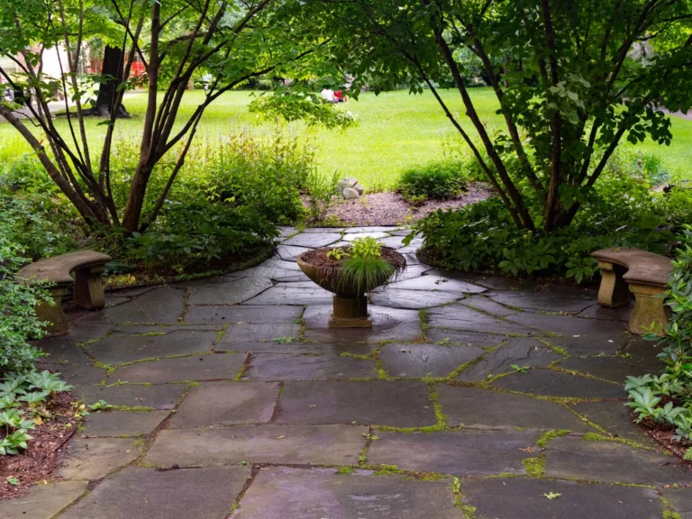 Paver Patio vs Concrete: Costs, Durability, and Which to Choose