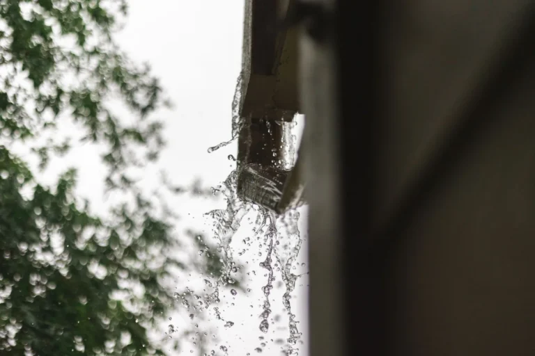 Gutter Guards Worth It? Real Cost vs. Value for Homeowners