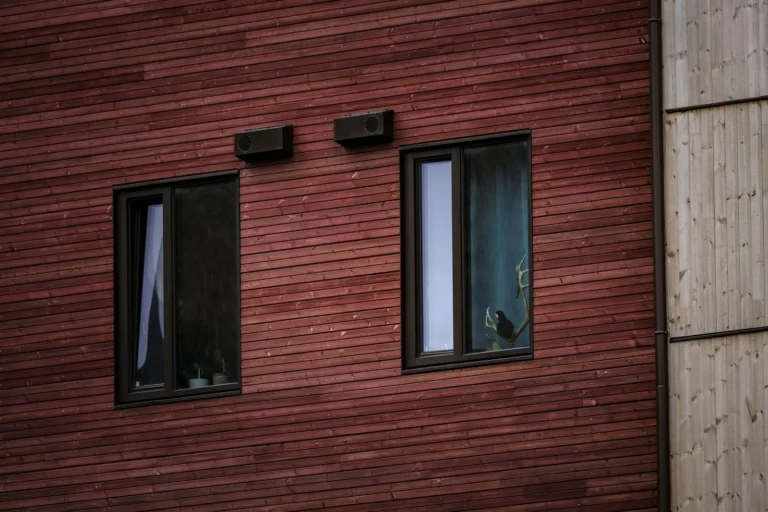 Vinyl vs Wood Windows: Which Frame Material Is Right for Your Home?