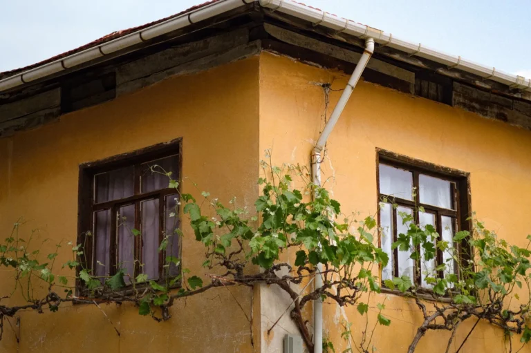 How to Clean Gutters Safely: A Step-by-Step Guide for Homeowners